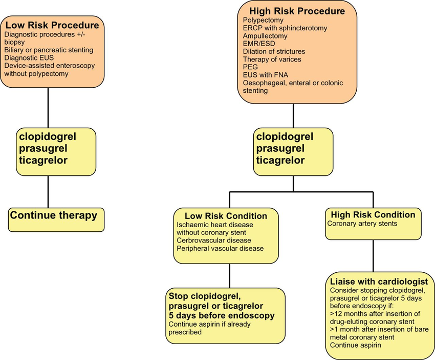 end Figure1-Guidelines-for-the-management-of-patients-on-P2Y12-receptor-antagonist